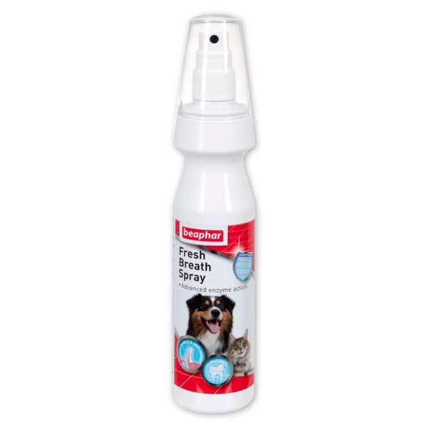 بيفار بخاخ لصحة فم افضل ورائحة نفس منعش للكلاب 150مل - Beaphar Fresh Breah Spray for Dogs 150ml